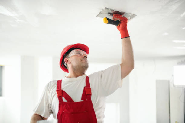 Best Drywall Sanding and Smoothing  in Campbellsport, WI