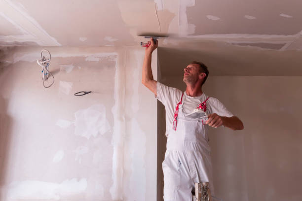 Best Drywall Removal and Disposal  in Campbellsport, WI